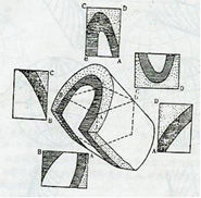 圓柱狀褶皺 圓柱狀褶皺