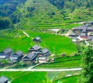 羊巴場自然村 羊巴場自然村