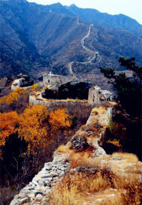 禪林寺古銀杏風景園