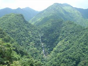 春秀水源林保護區 春秀水源林保護區