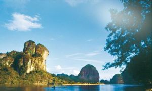 仙峰岩省級森林公園 仙峰岩省級森林公園