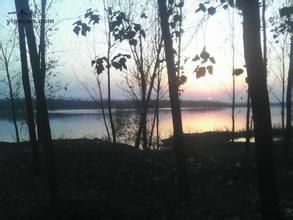 界牌椏村 界牌椏村