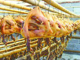 沙地板鴨 沙地板鴨