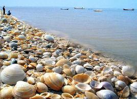 古貝殼堤 古貝殼堤