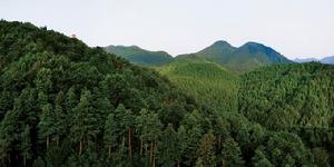 四川空山國家森林公園
