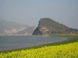 半壁山農場 半壁山農場