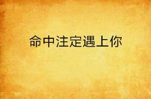 命中注定遇上你 命中注定遇上你