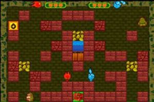 森林冰火人寶箱守衛 森林冰火人寶箱守衛