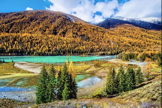 韓寒新電影《飛馳人生》取景地曝光,北緯45°的全球最美秋色