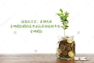 金蟬國際 金蟬國際