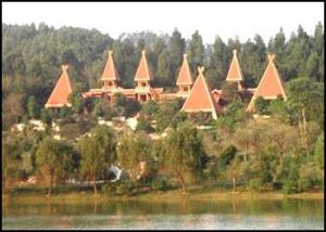 番禺市橋大夫山森林公園 番禺市橋大夫山森林公園