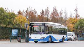 龍港快線 龍港快線