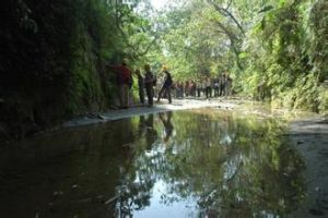 國際反水庫運動