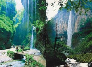 官鵝溝國家AAAA級森林公園 官鵝溝國家AAAA級森林公園