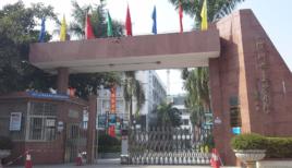 上芬國小 上芬國小