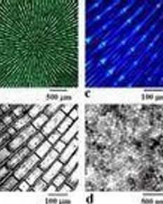 液晶高分子 液晶高分子