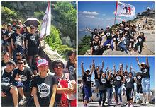 AA國際動漫團隊