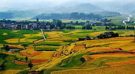 綏寧縣國土資源局 綏寧縣國土資源局