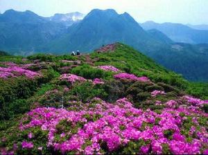廣西大明山國家級自然保護區 廣西大明山國家級自然保護區