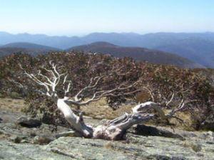 Australian Capital Territory