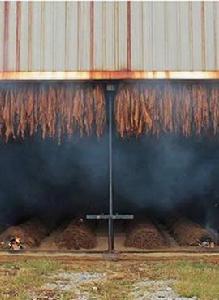 山姆和喬治 山姆和喬治