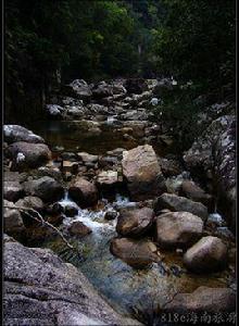 尖峰嶺原始森林保護區 尖峰嶺原始森林保護區