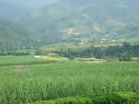 也崗自然村 也崗自然村