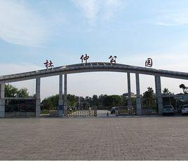 杜仲公園 杜仲公園