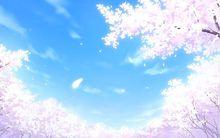 櫻之夢(Fsn HF線NE)