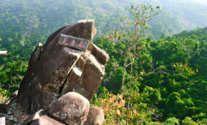 霸王嶺森林浴 霸王嶺森林浴