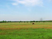 美麗的爾林兔草原