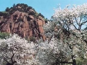 湖通河金礦 湖通河金礦