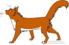 雷電[《貓武士》人物]