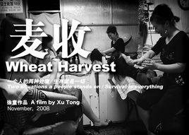 麥收[電影《麥收》]