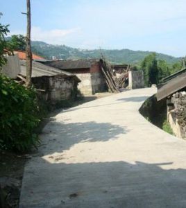 疏菜隊村 疏菜隊村