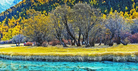 9月,老子不上班,請假去稻城!