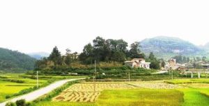 野村寨村 野村寨村