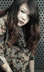 飛蛾撲火[彭麗麗演唱歌曲]