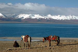 《中英續訂藏印條約》