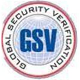 GSV GSV