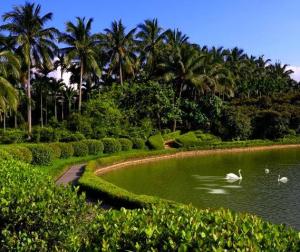 興隆熱帶植物園