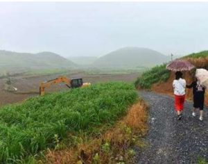 太平圩鄉 太平圩鄉