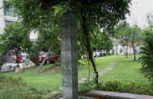 丹楓庭院 丹楓庭院