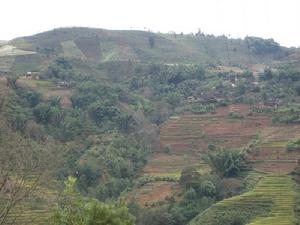 任家自然村全景