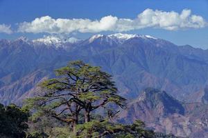 高黎貢山國家級自然保護區 高黎貢山國家級自然保護區