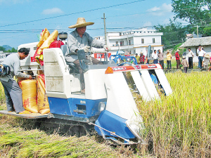 容縣靈山鎮 容縣靈山鎮