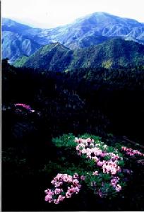 華頂景區 華頂景區