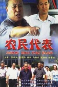 農民代表[2005年修宗迪主演電視劇]