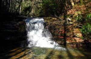 塞夸奇縣 塞夸奇縣