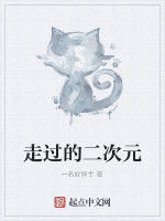 走過的二次元 走過的二次元